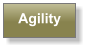 Agility